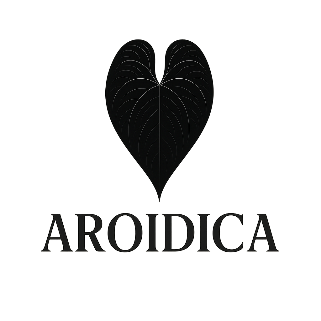 Aroidica